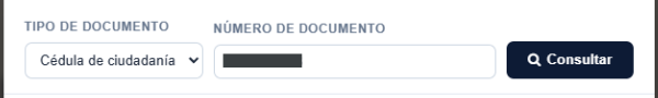 Campos Tipo de documento y Número de documento en la ventana oficial Consulta RUI del DNP